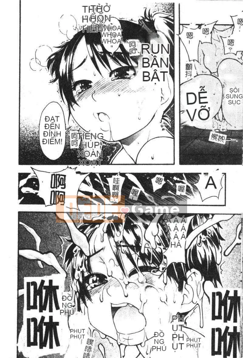 11_ Bảo tàng tỏa sáng Vol.2