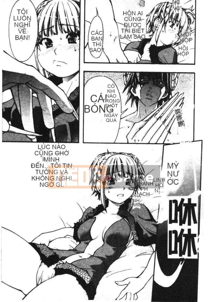 11_ Bảo tàng tỏa sáng Vol.2