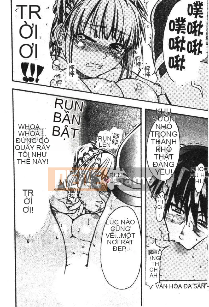 11_ Bảo tàng tỏa sáng Vol.2