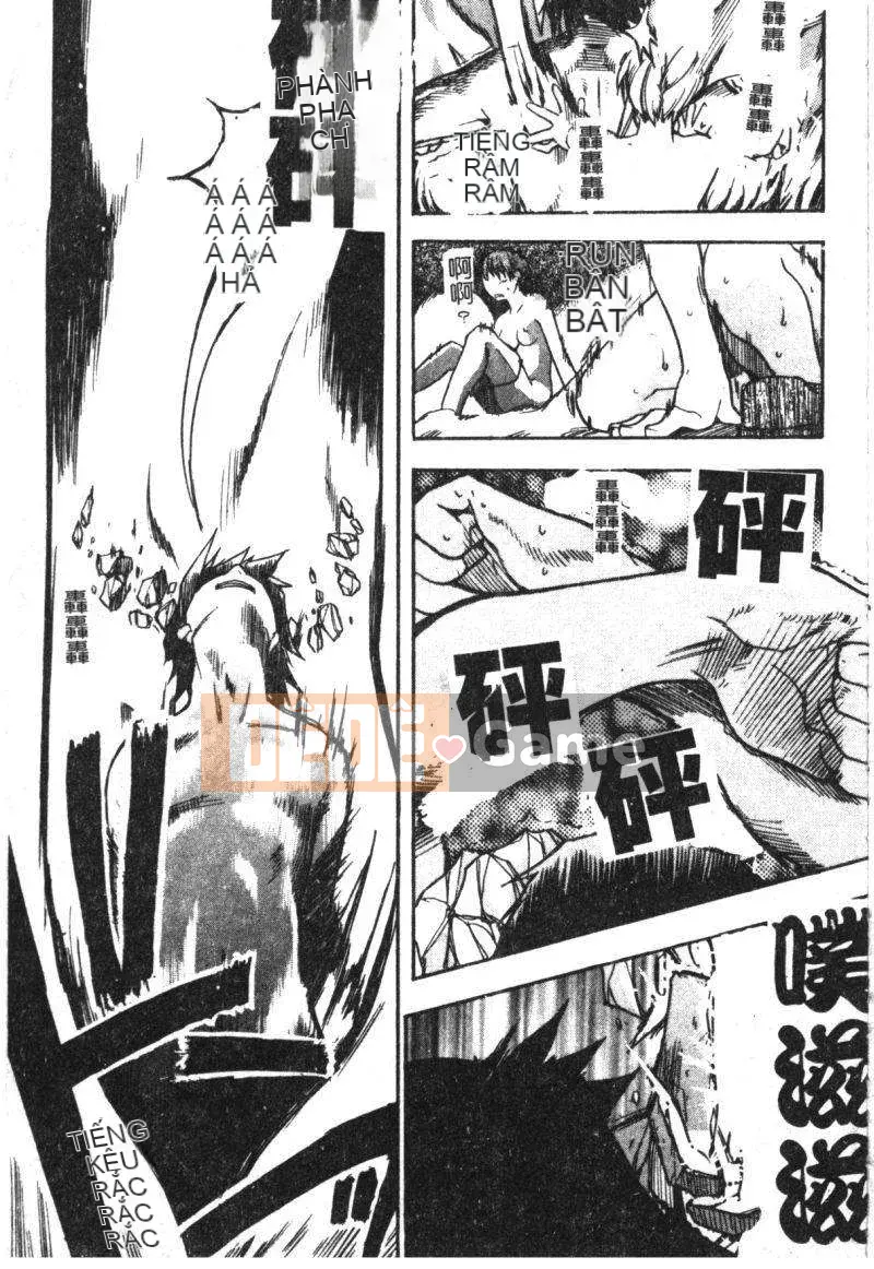 11_ Bảo tàng tỏa sáng Vol.2