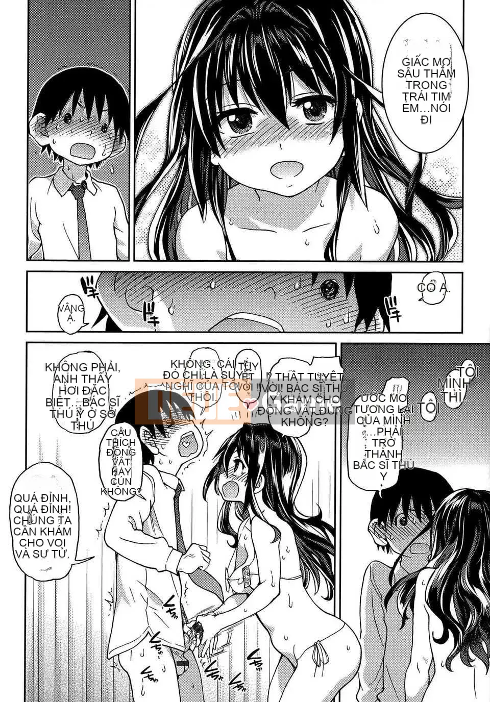 [Shiwasu no Okina] Tờ rơi Ibuka!