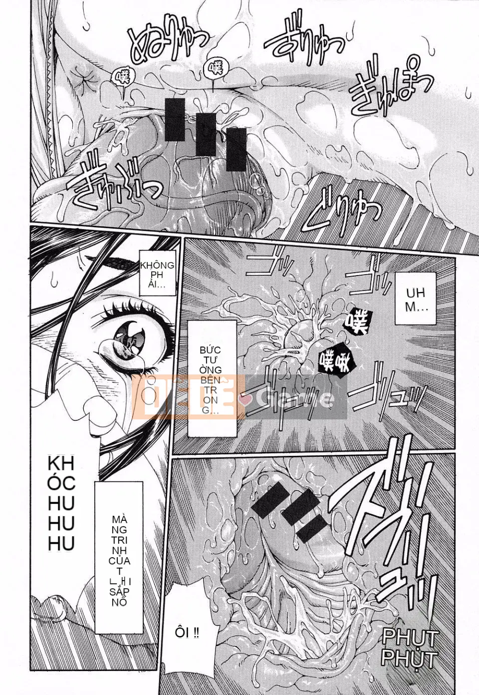 [Seto Yuki] Stringendo (STRINGENDO)