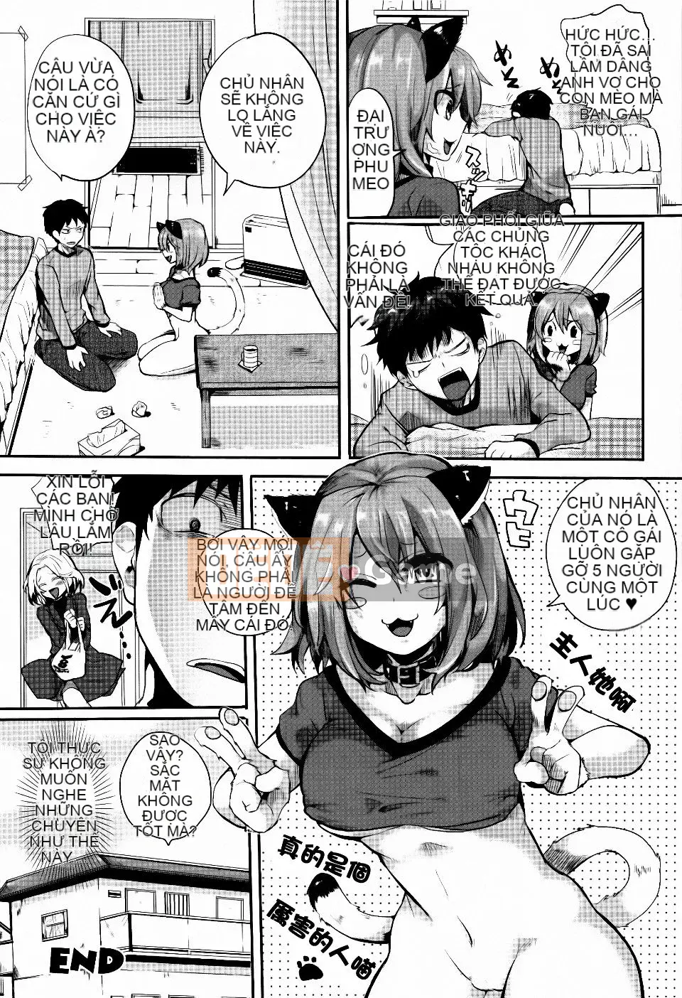 [Dumou] Chuyến đi của Seniro