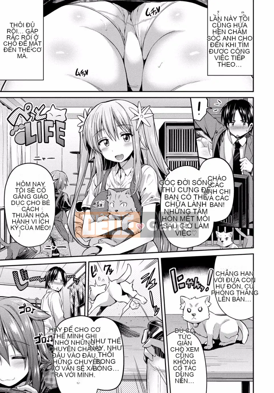 [Sun Moon Neko] Cấm giao hợp [Kỹ thuật số]