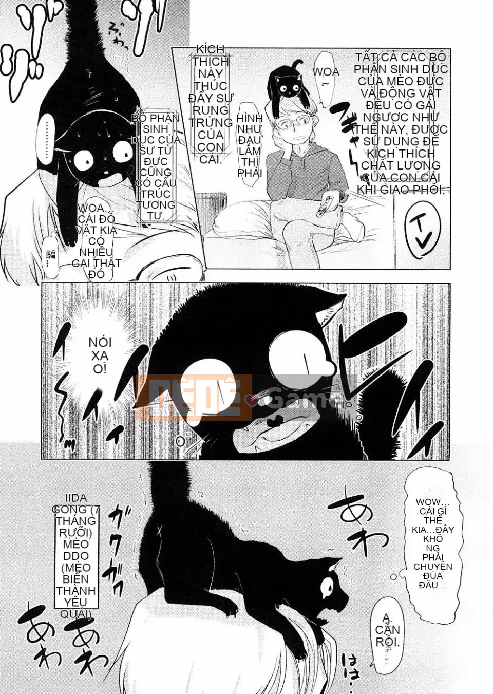 [Urajiro] Tình Yêu Nhỏ Gokoro