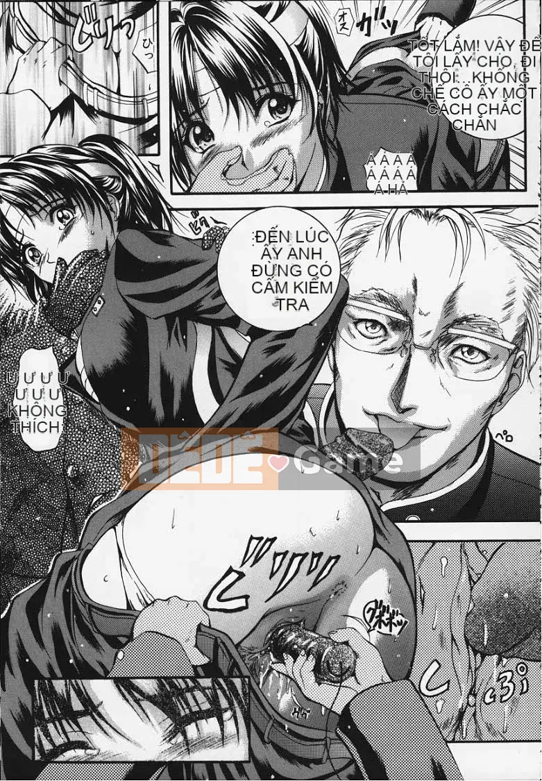 [KYOTA IZUMI] màu tinh khiết