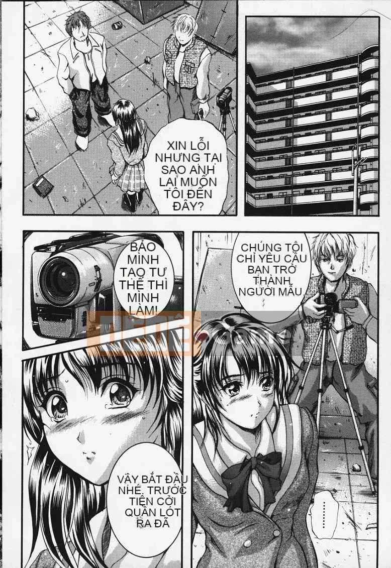 [KYOTA IZUMI] màu tinh khiết