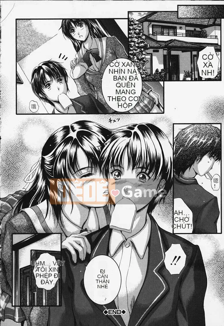 [KYOTA IZUMI] màu tinh khiết