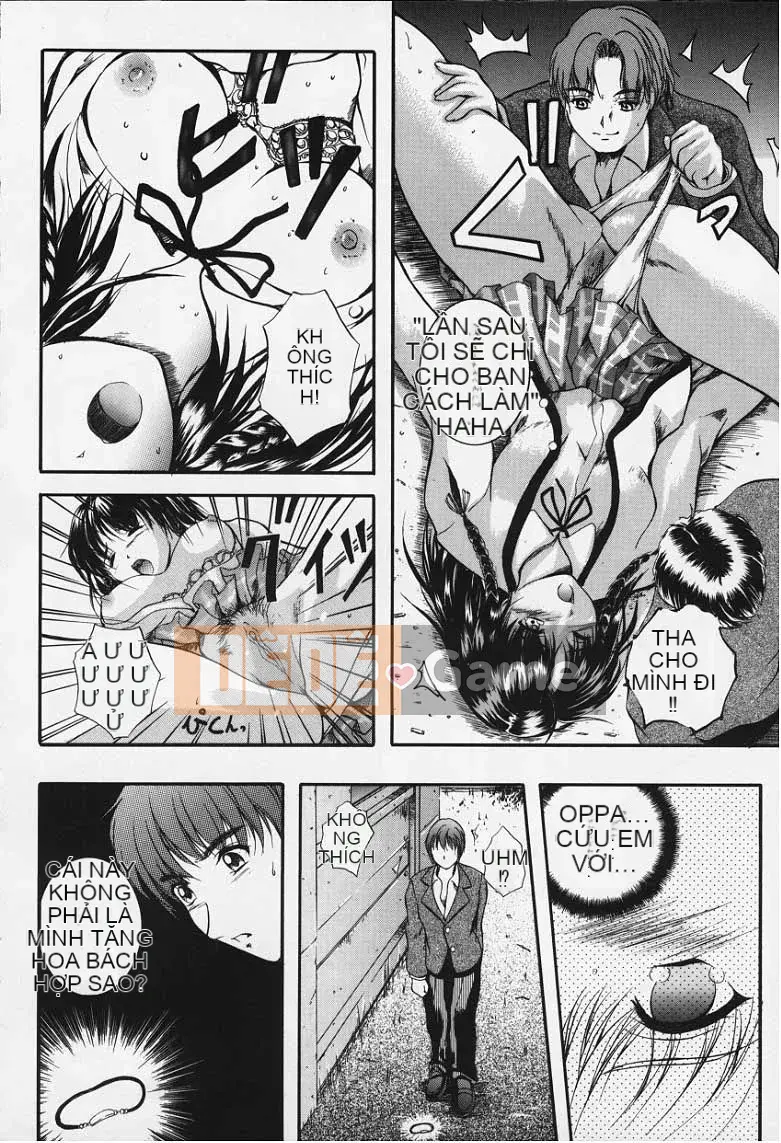 [KYOTA IZUMI] màu tinh khiết