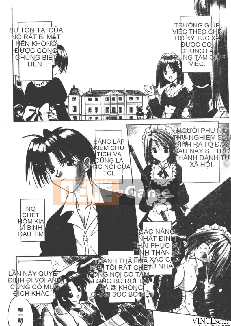 [Miran Matora] VƯỜN PALLADIUM