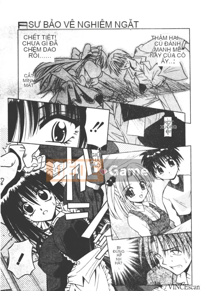 [Miran Matora] VƯỜN PALLADIUM