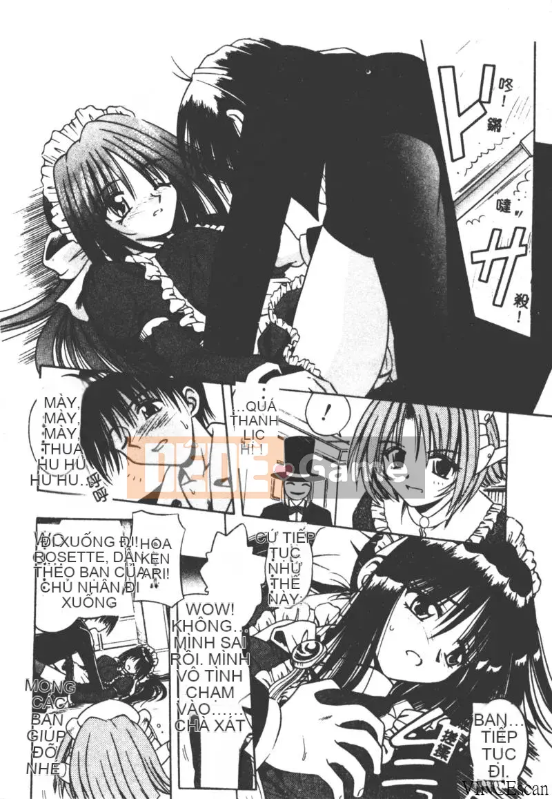 [Miran Matora] VƯỜN PALLADIUM