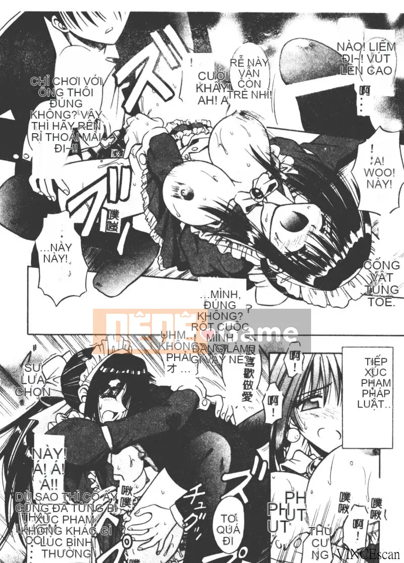 [Miran Matora] VƯỜN PALLADIUM