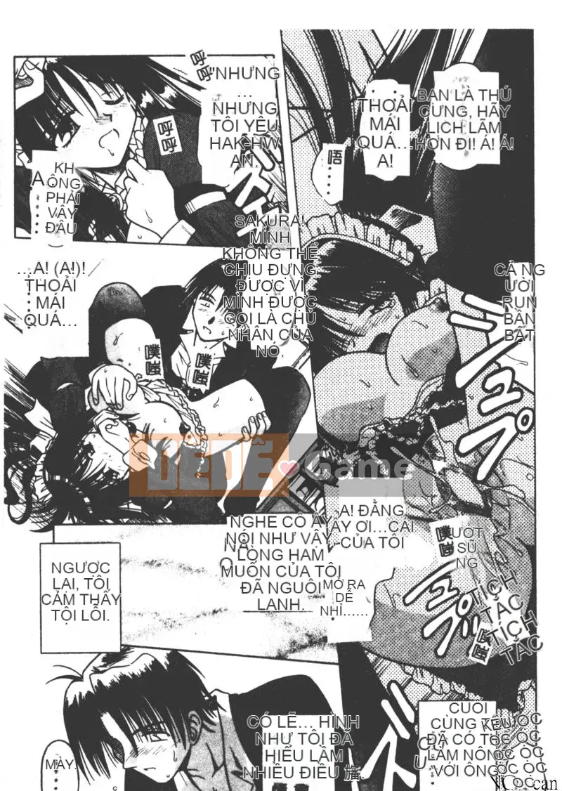 [Miran Matora] VƯỜN PALLADIUM