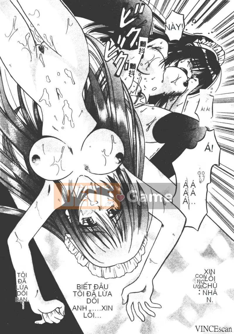 [Miran Matora] VƯỜN PALLADIUM