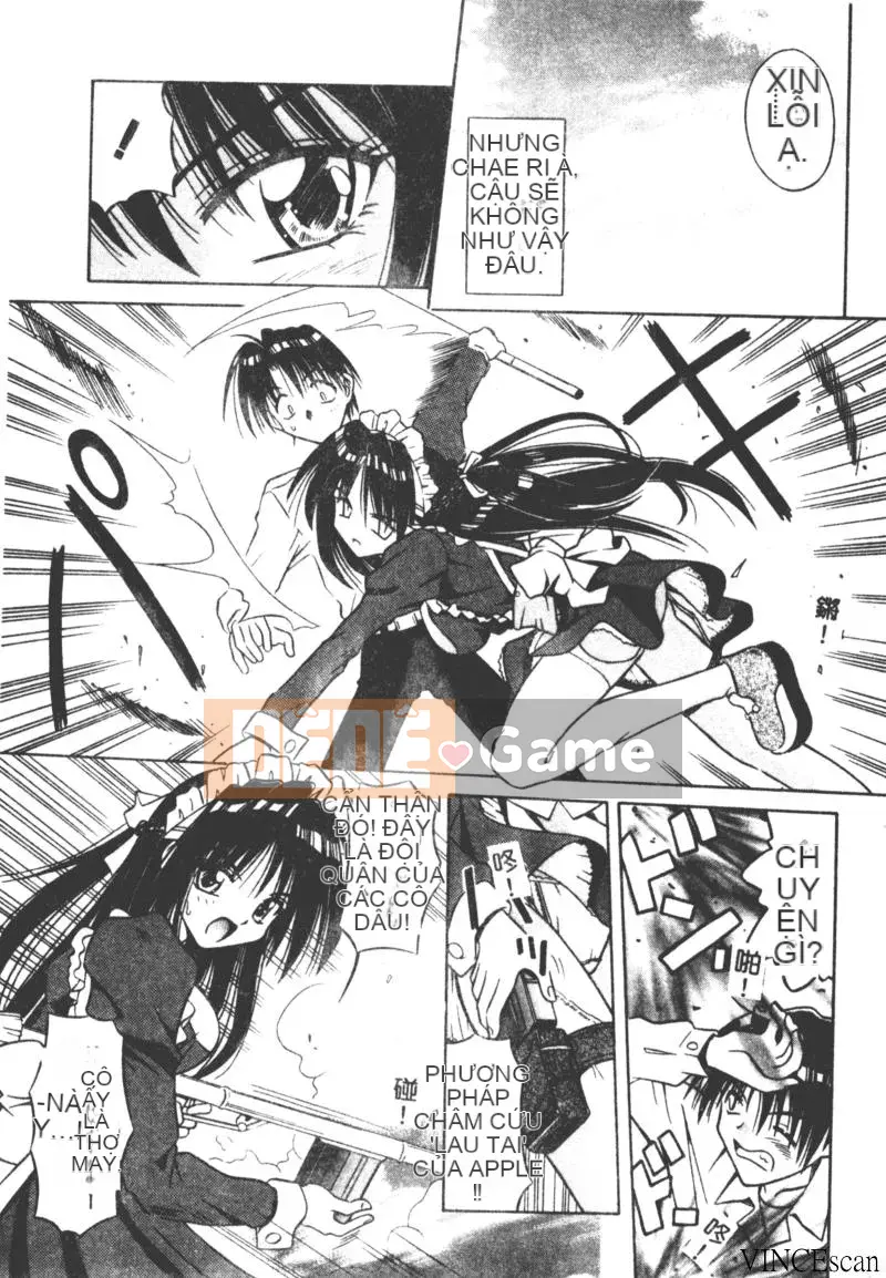 [Miran Matora] VƯỜN PALLADIUM