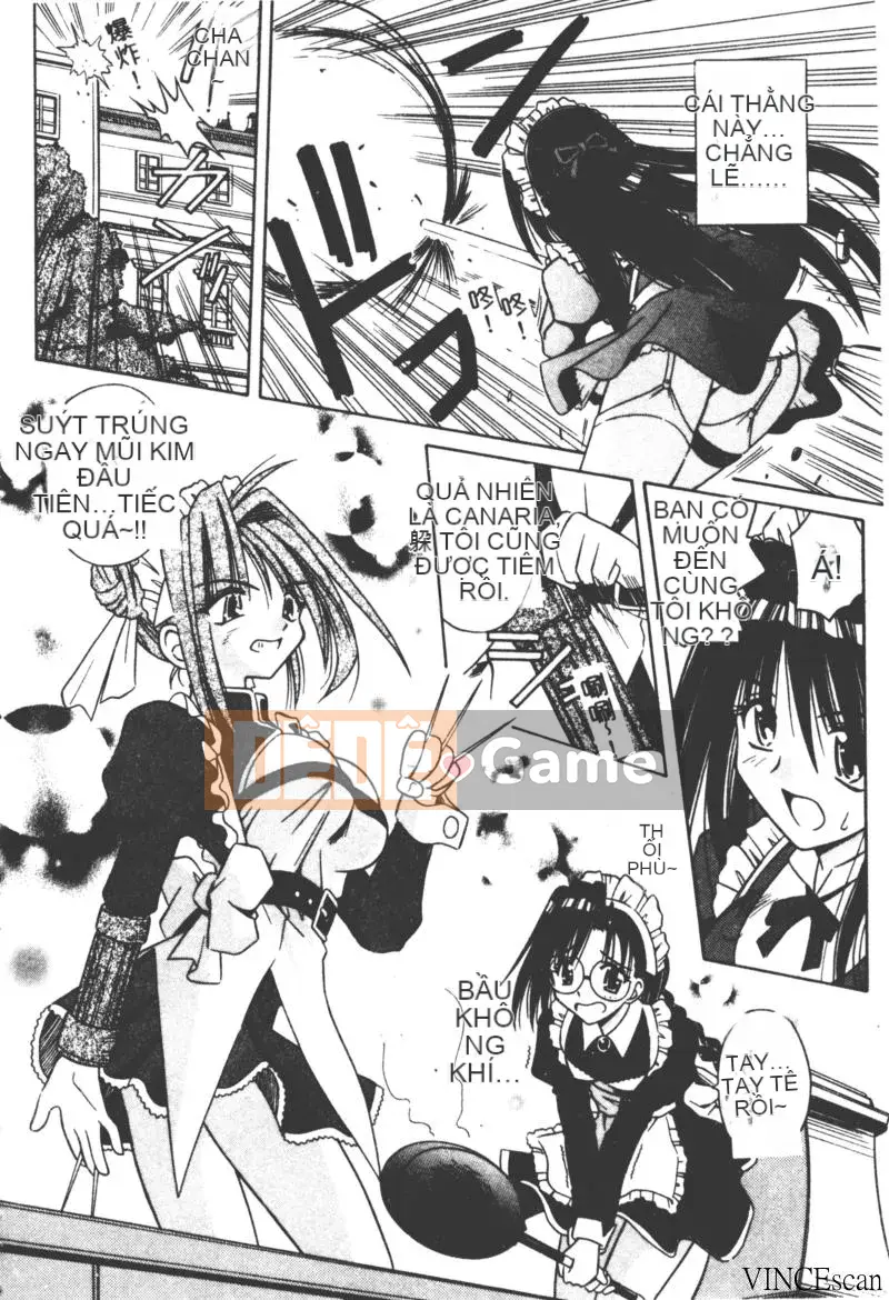 [Miran Matora] VƯỜN PALLADIUM