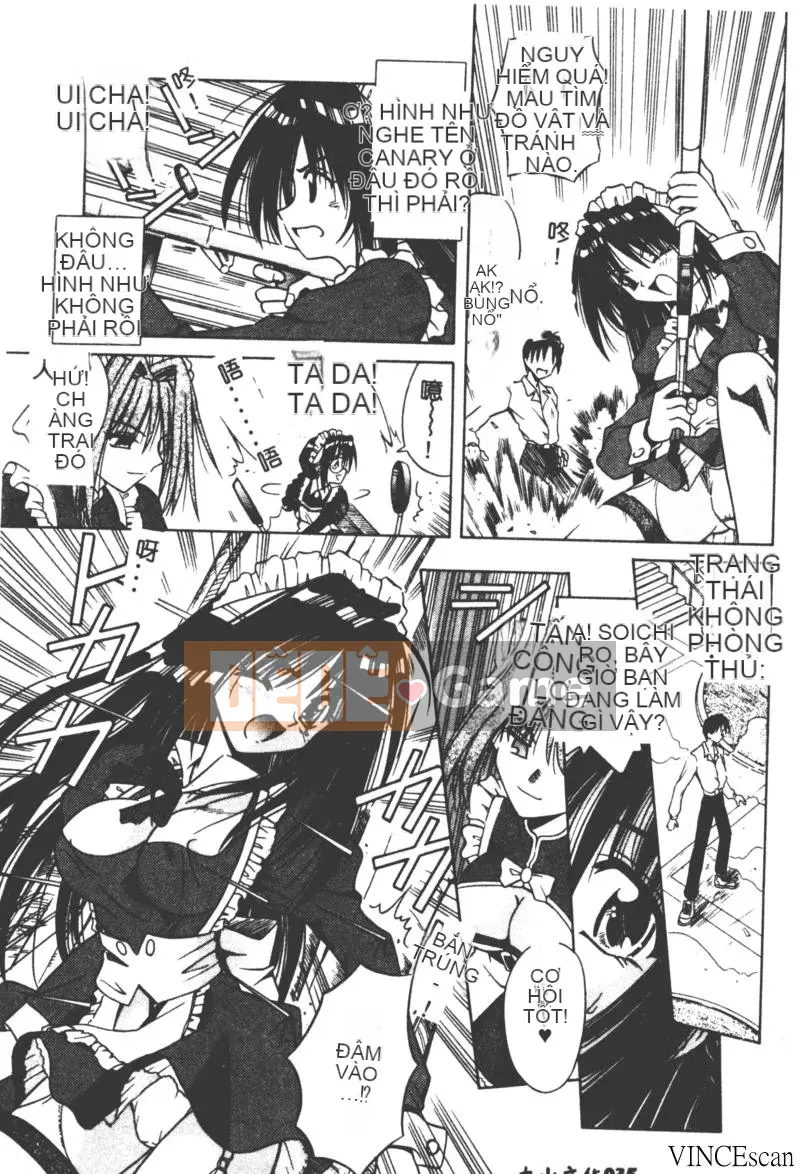 [Miran Matora] VƯỜN PALLADIUM