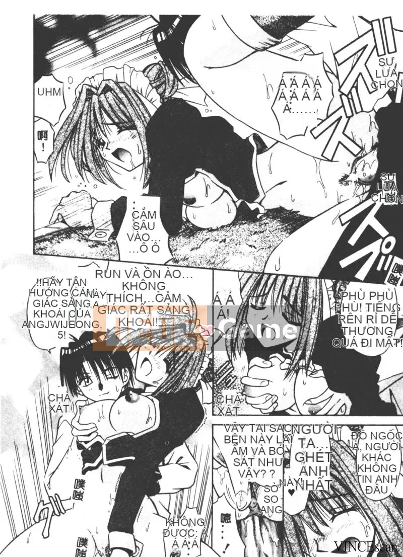 [Miran Matora] VƯỜN PALLADIUM