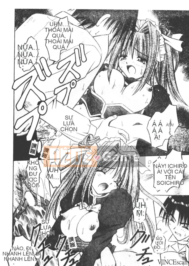 [Miran Matora] VƯỜN PALLADIUM