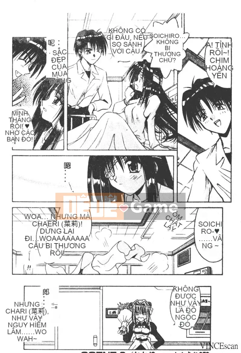 [Miran Matora] VƯỜN PALLADIUM