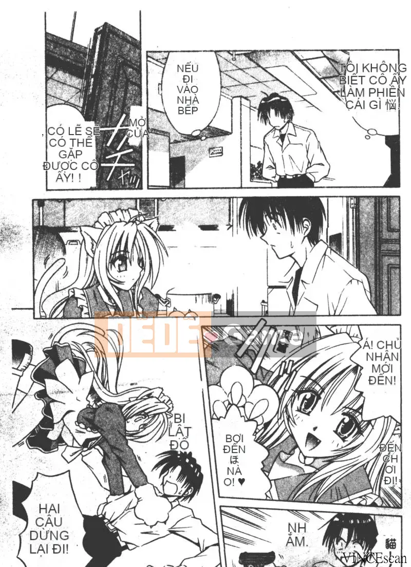 [Miran Matora] VƯỜN PALLADIUM