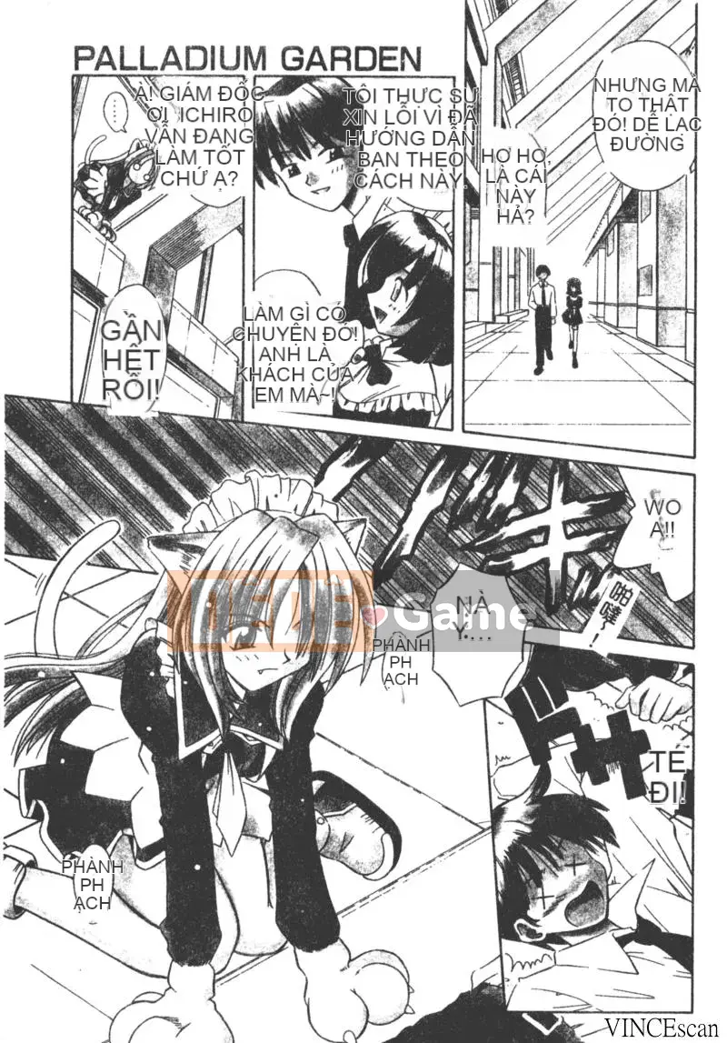 [Miran Matora] VƯỜN PALLADIUM