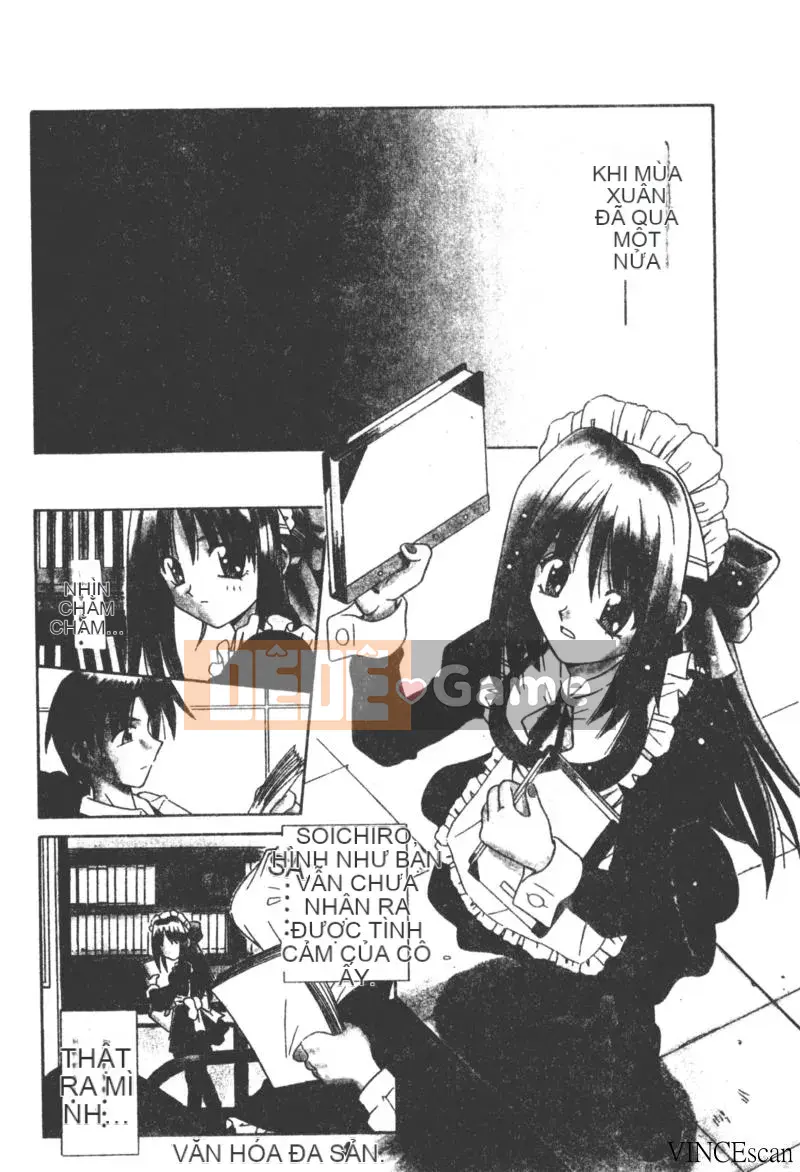 [Miran Matora] VƯỜN PALLADIUM