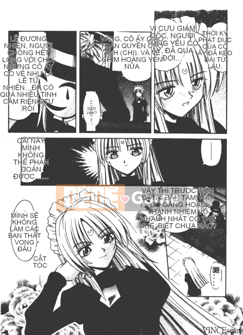 [Miran Matora] VƯỜN PALLADIUM