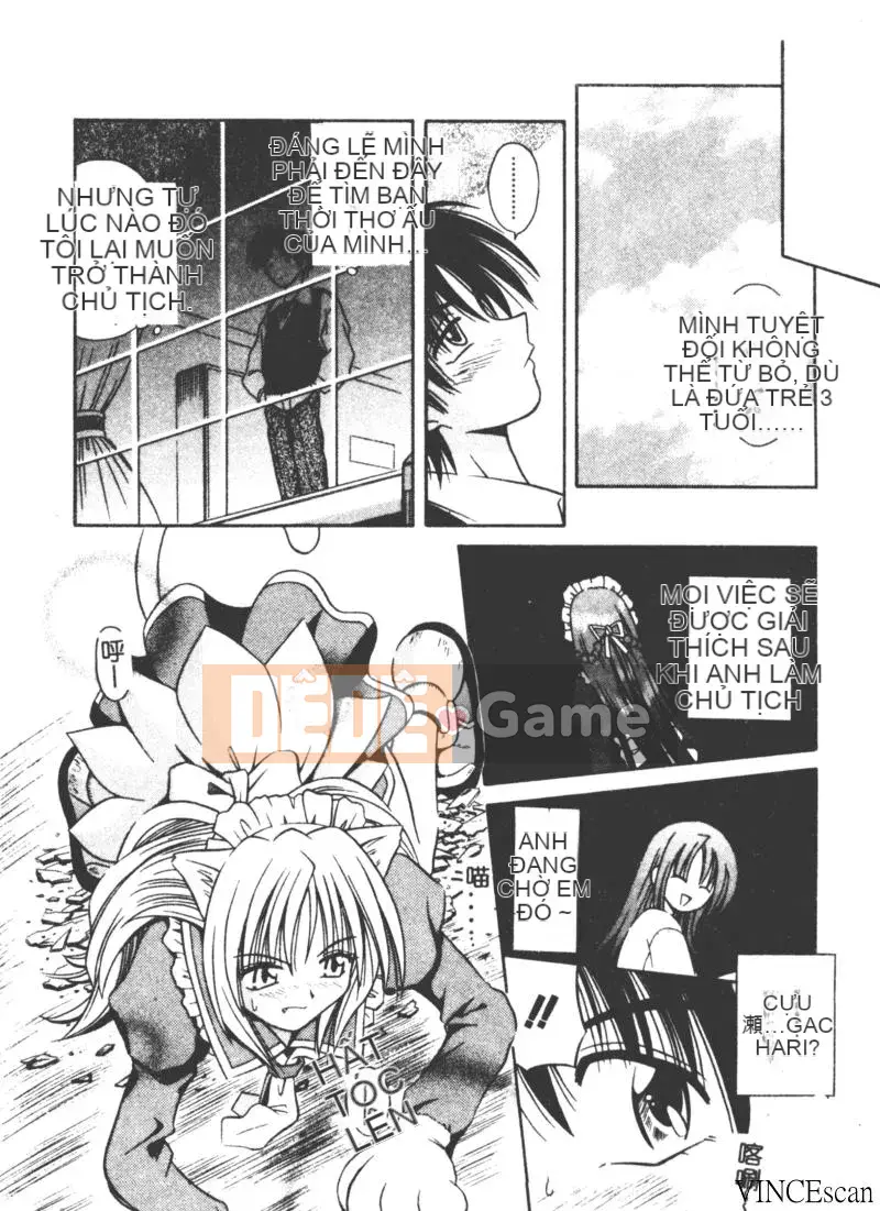 [Miran Matora] VƯỜN PALLADIUM