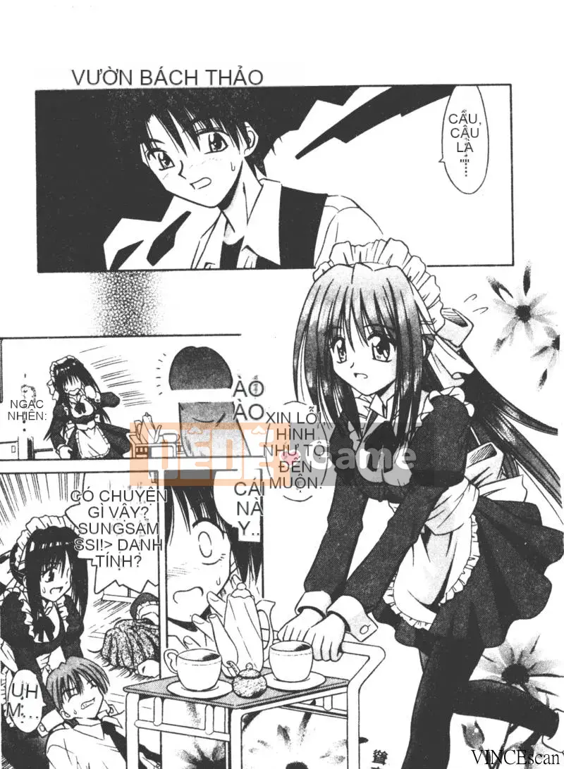 [Miran Matora] VƯỜN PALLADIUM