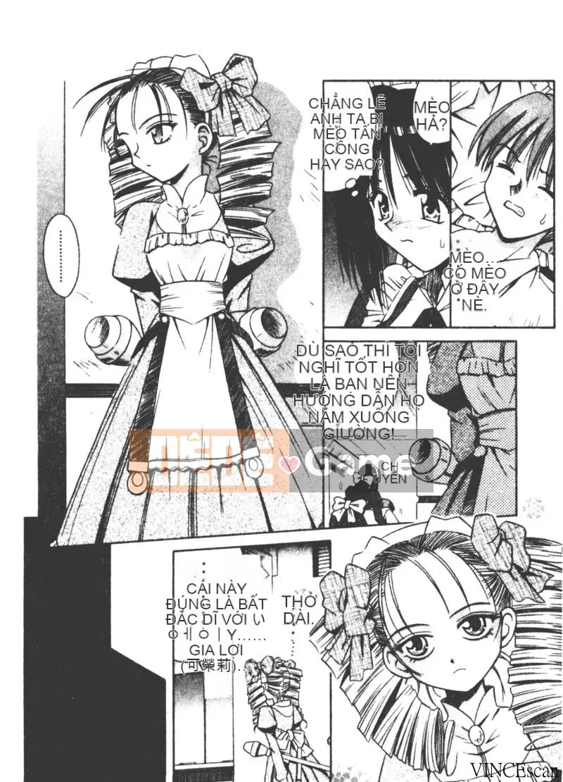 [Miran Matora] VƯỜN PALLADIUM