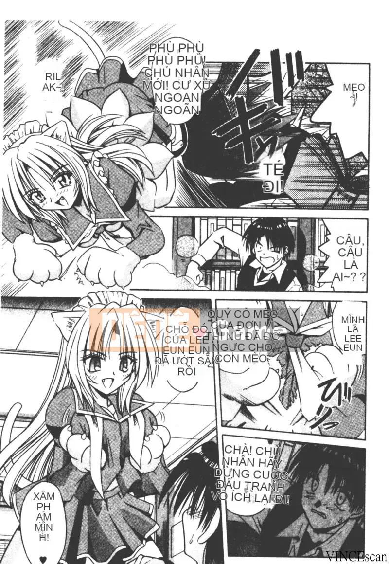 [Miran Matora] VƯỜN PALLADIUM