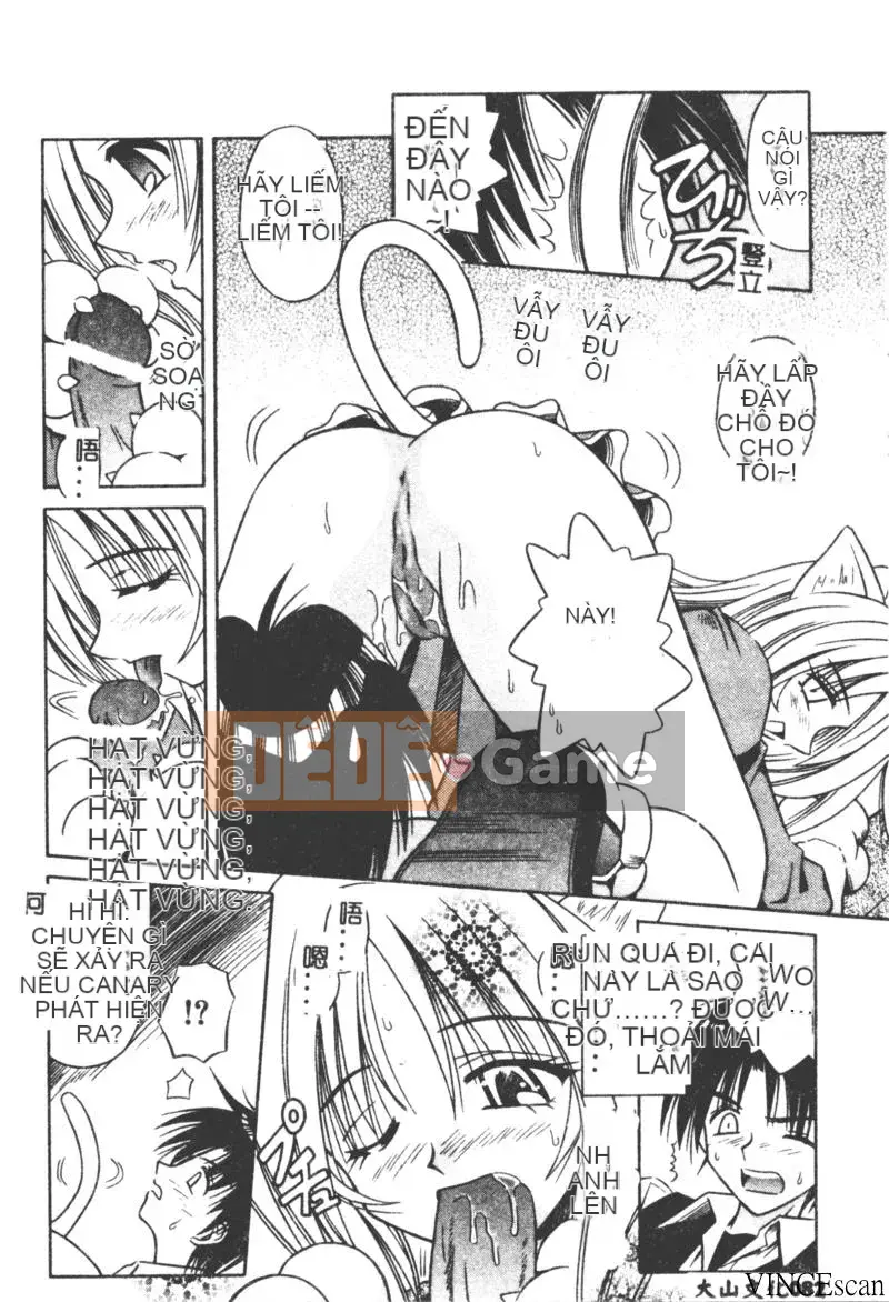 [Miran Matora] VƯỜN PALLADIUM