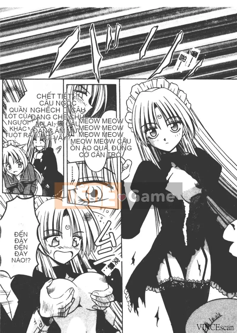 [Miran Matora] VƯỜN PALLADIUM