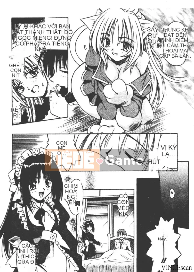 [Miran Matora] VƯỜN PALLADIUM