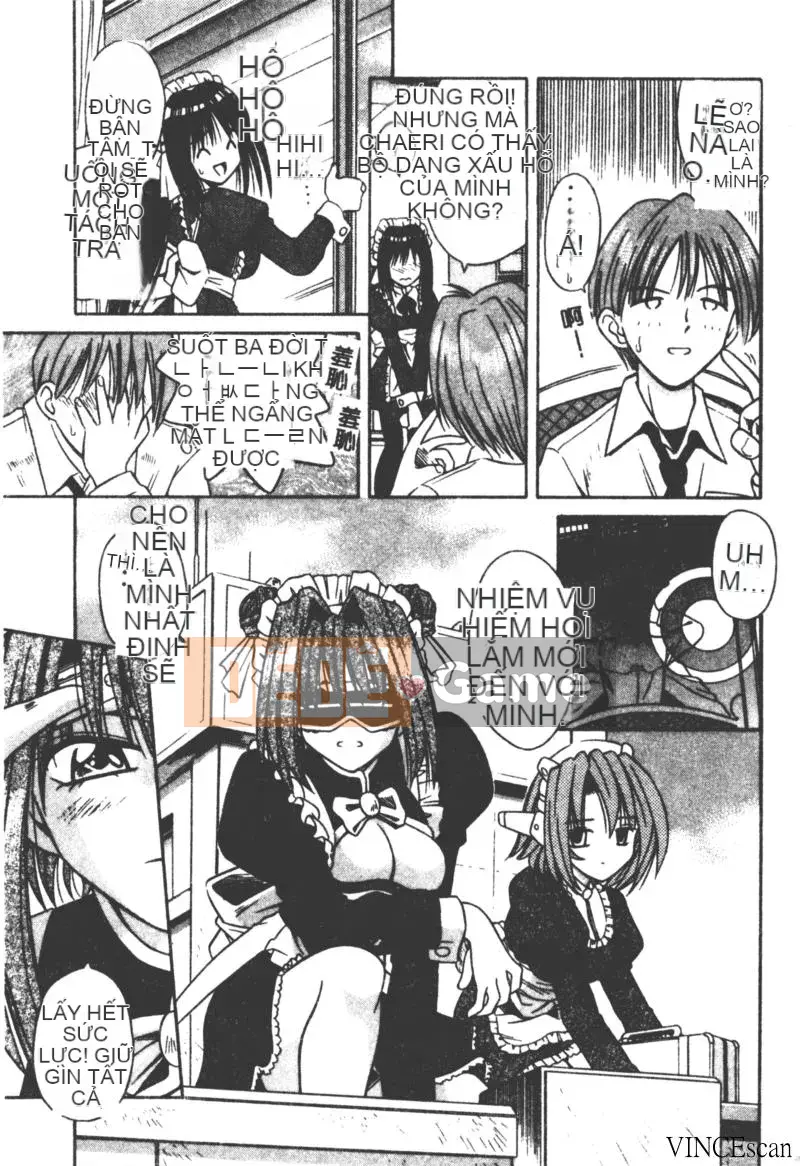 [Miran Matora] VƯỜN PALLADIUM