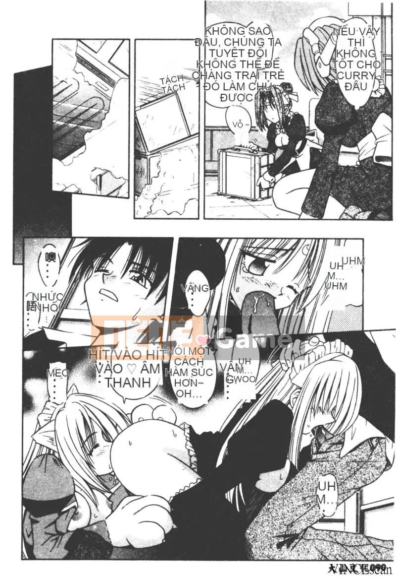 [Miran Matora] VƯỜN PALLADIUM