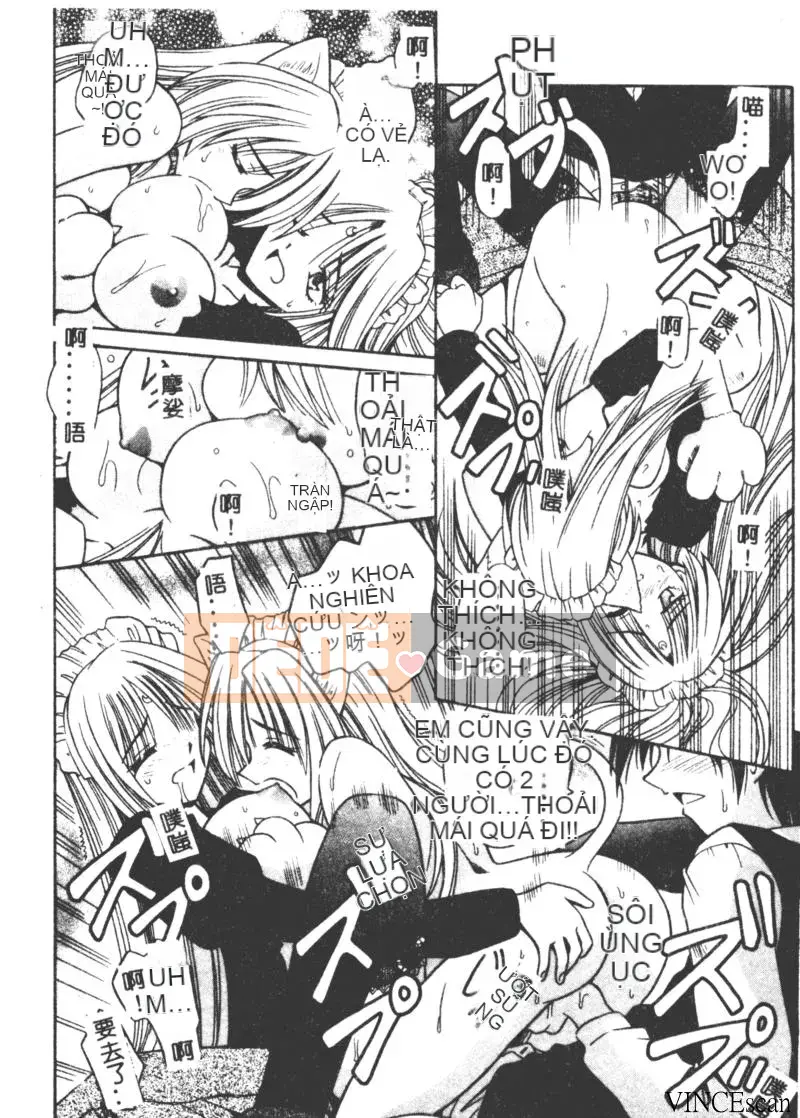 [Miran Matora] VƯỜN PALLADIUM