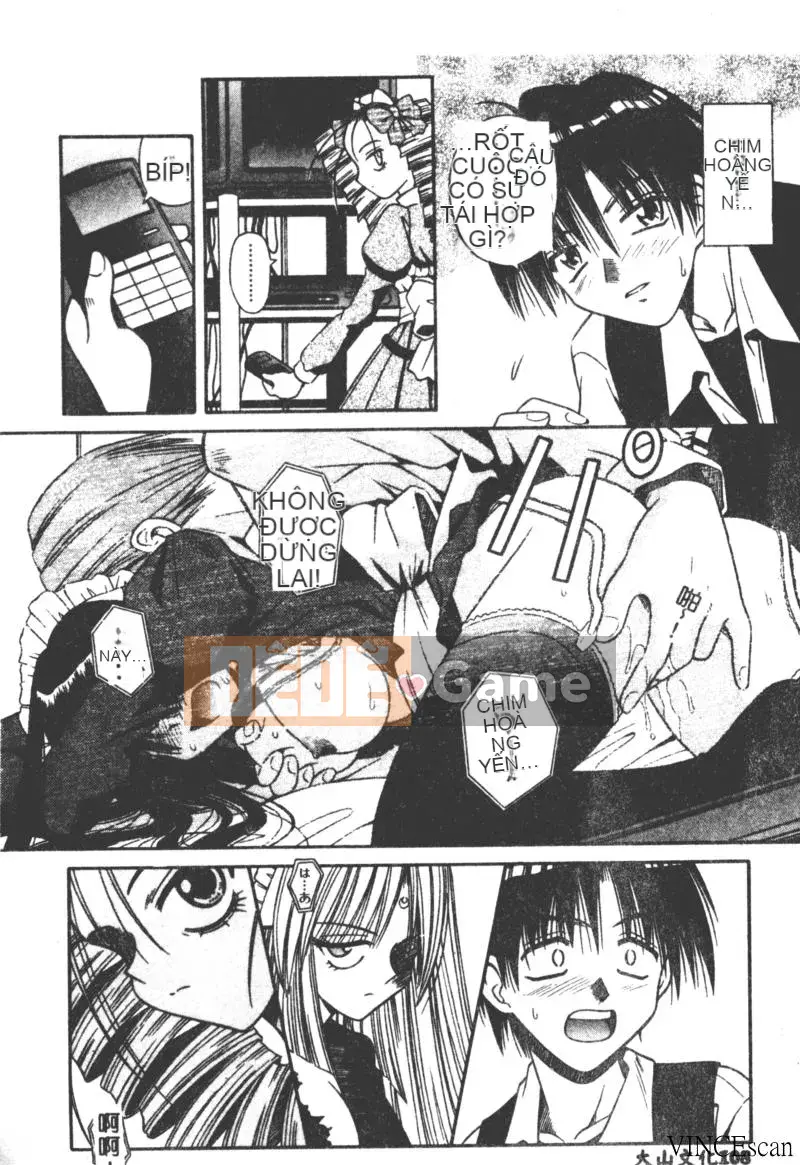 [Miran Matora] VƯỜN PALLADIUM