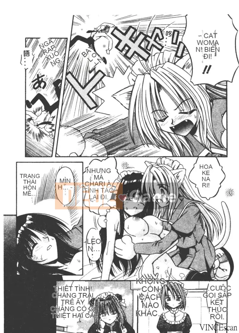 [Miran Matora] VƯỜN PALLADIUM