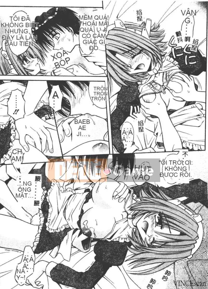 [Miran Matora] VƯỜN PALLADIUM