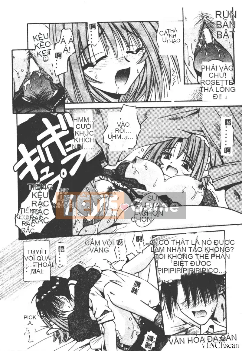 [Miran Matora] VƯỜN PALLADIUM