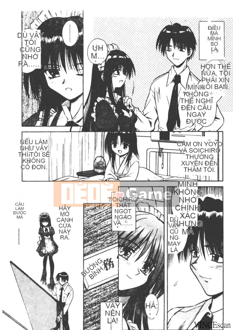 [Miran Matora] VƯỜN PALLADIUM