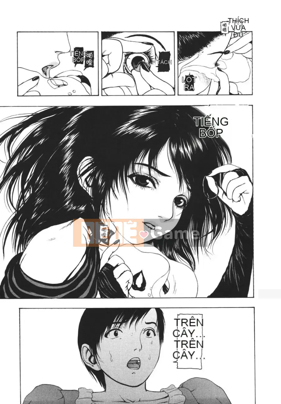 [Fuyucho] Mặt trăng điên cuồng