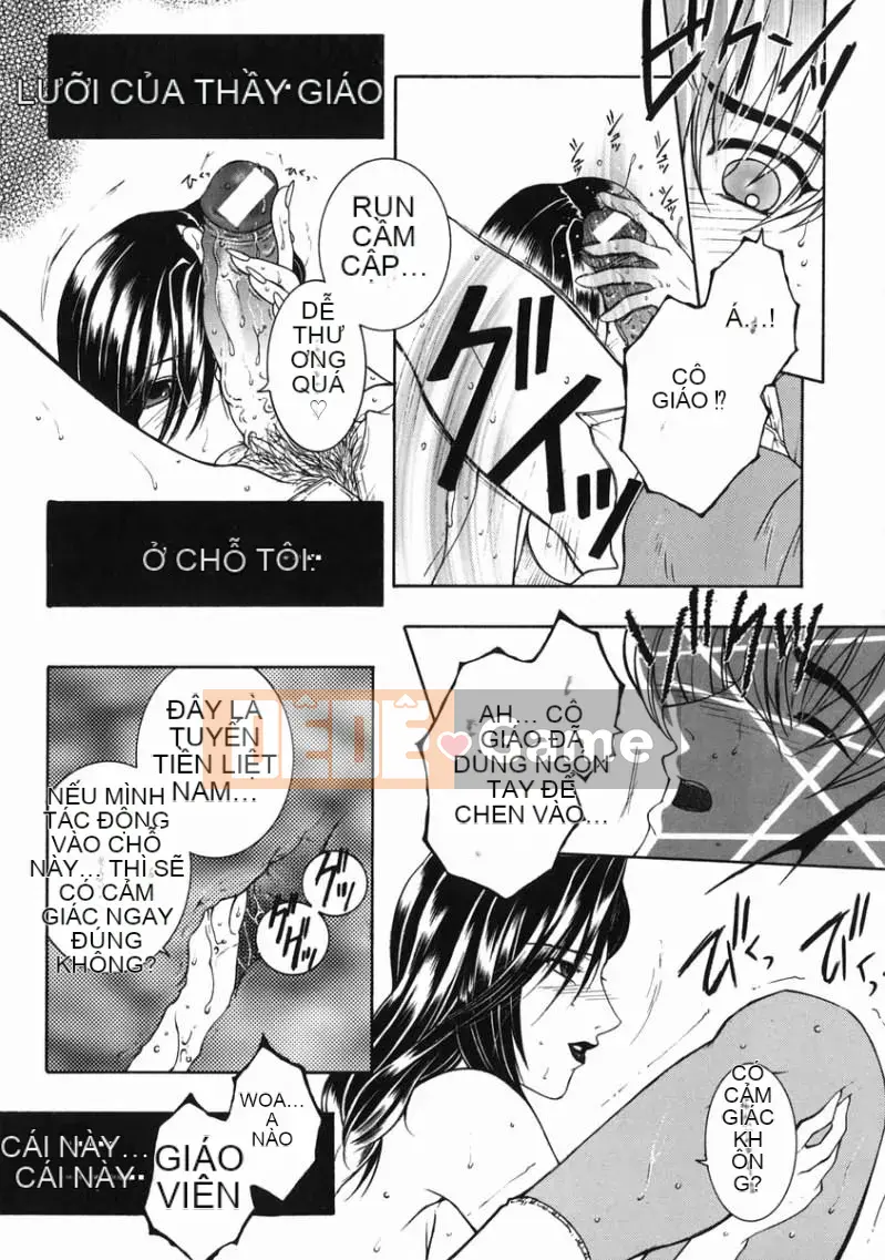 [Anyuan Division] Tianhua Forbidden Love