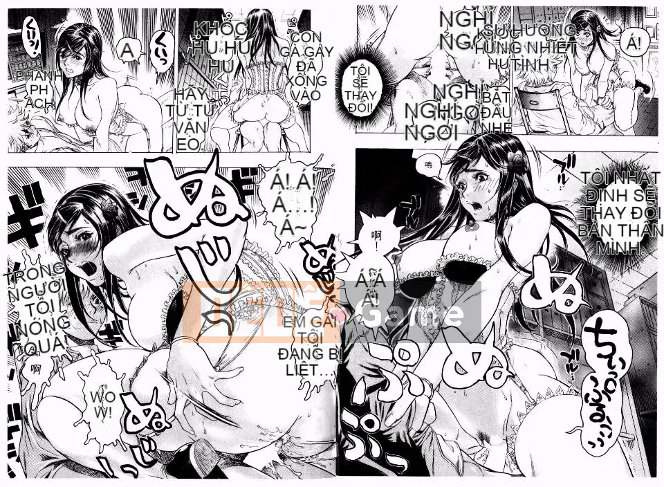 [Tóc Đẹp] Máy Seibo