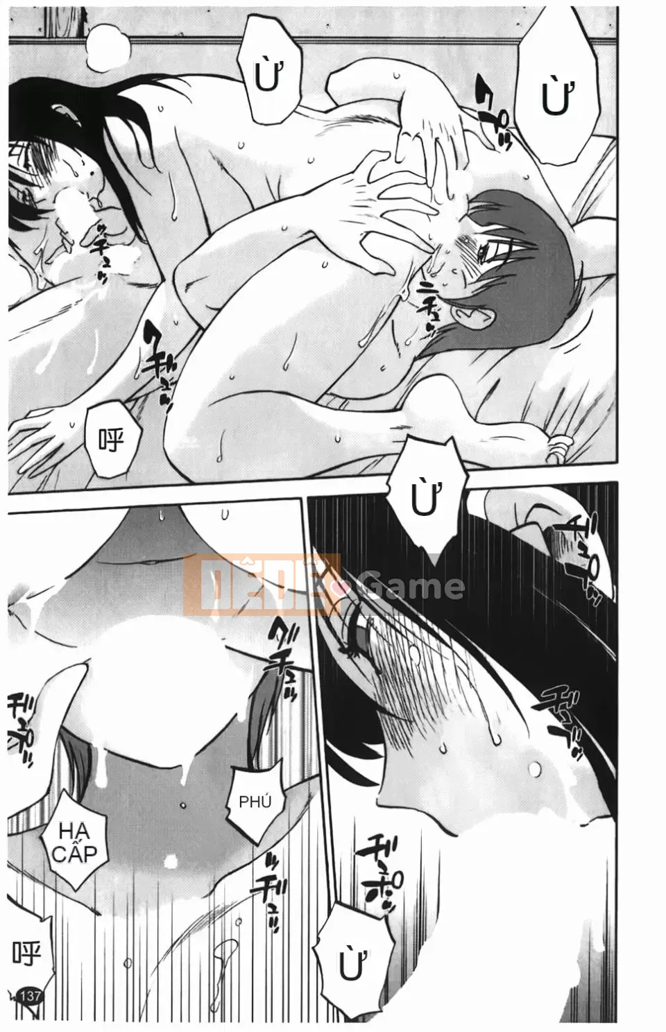 [Glossy] Một bông hoa bí mật chín