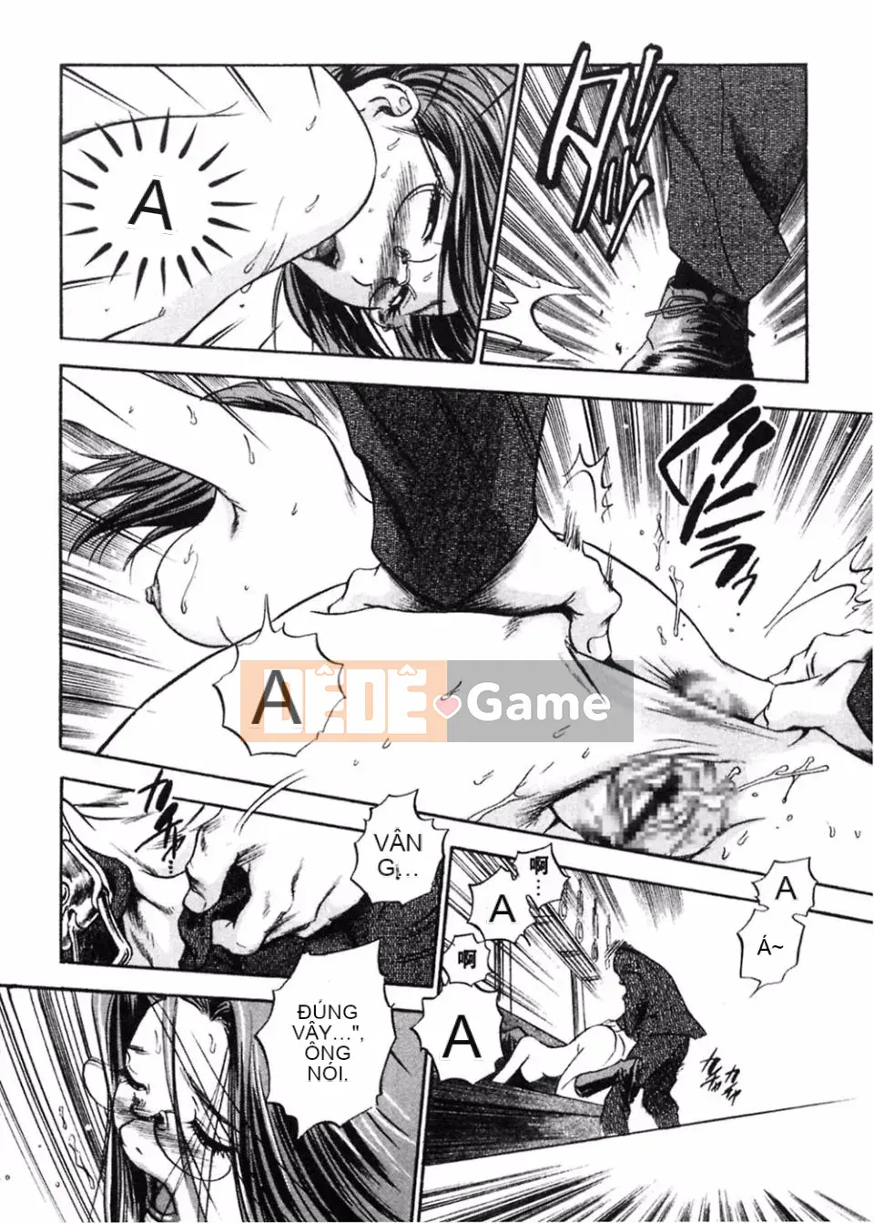 [THE SENJI] Ngôi nhà lập dị lớn trong thành phố