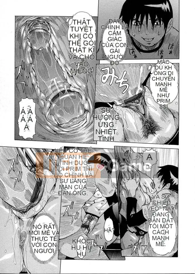 [笑花假] Nhật Ký Ngốc 2 [Bản Trung Quốc]